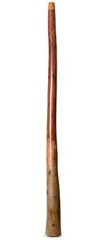 Wix Stix Didgeridoo (WS160)